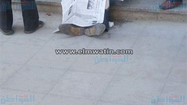 المواطن