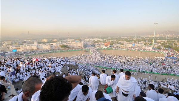 المواطن
