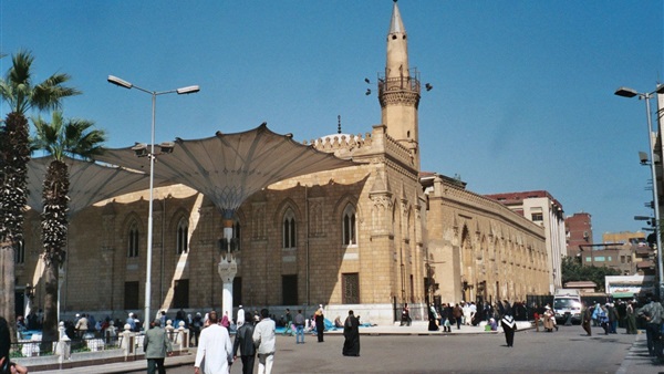 المواطن