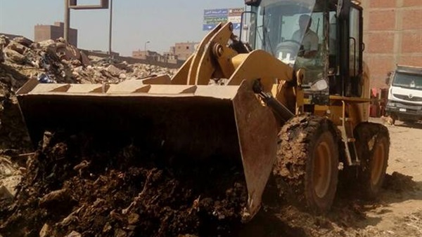 المواطن