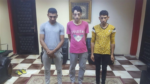 المواطن