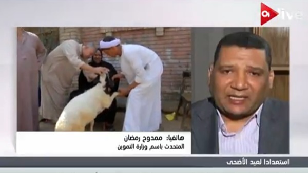 المواطن