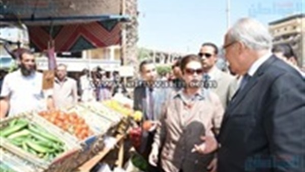 وزير التنمية المحلية