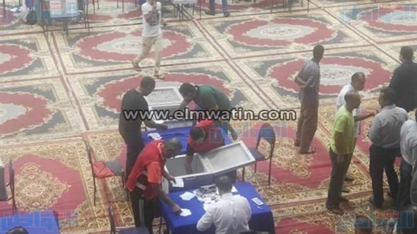 المواطن