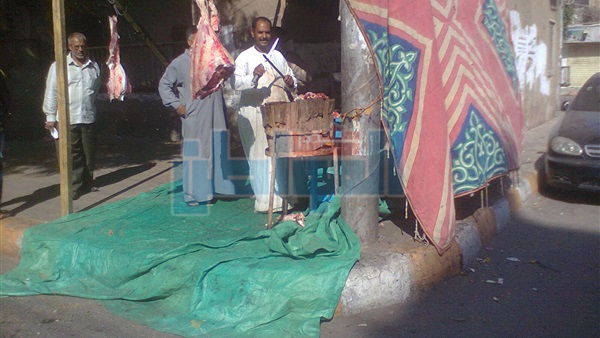المواطن