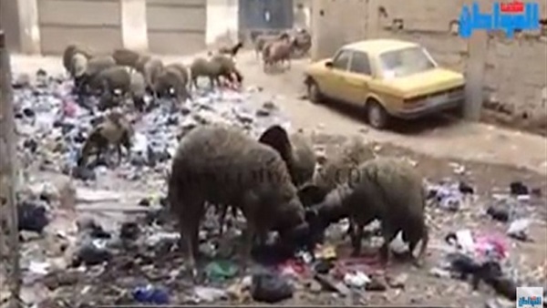 صورة من الفيديو