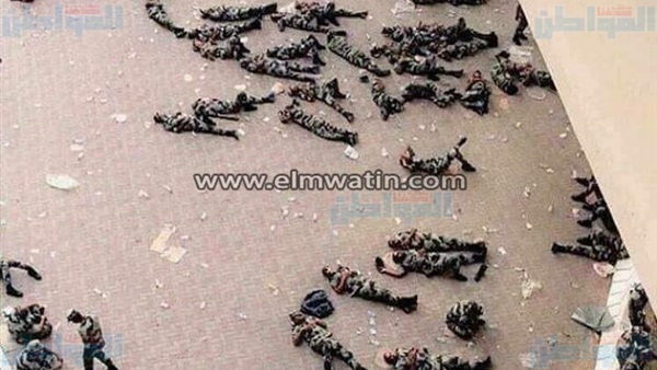 المواطن