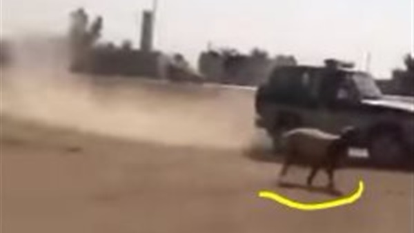 صورة من الفيديو