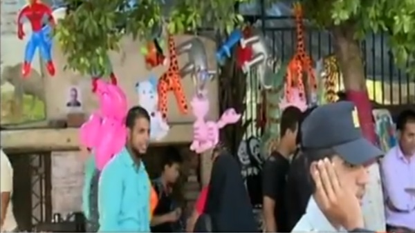 المواطن