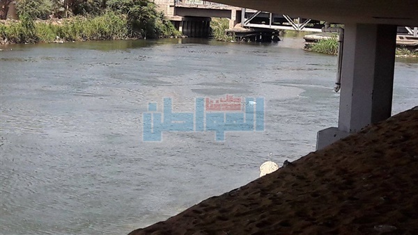 المواطن