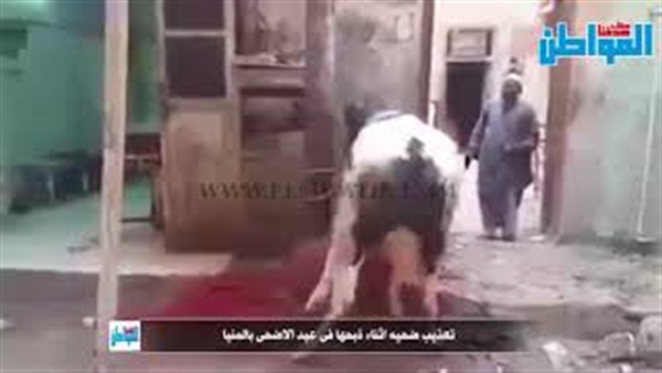 المواطن