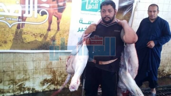المواطن