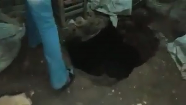 المواطن