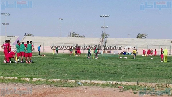 المواطن