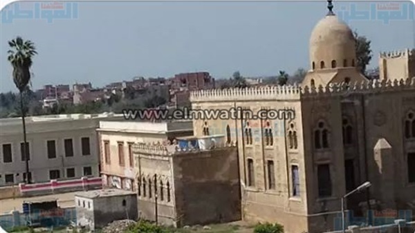 المواطن