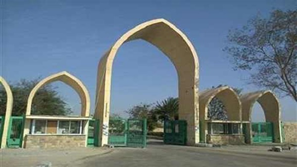 جامعة أسوان