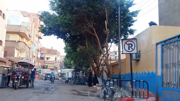 محيط مدارس سوهاج