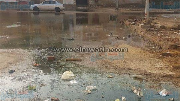 المواطن