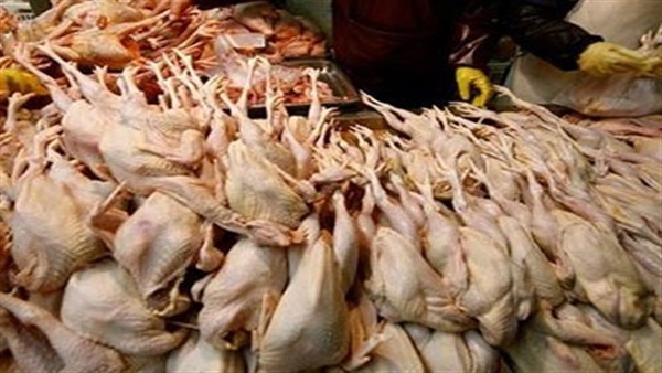 دواجن فاسدة