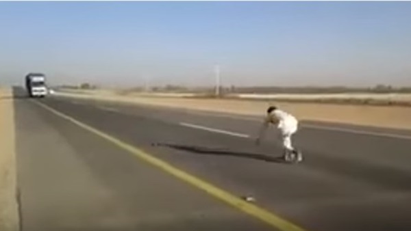 المواطن