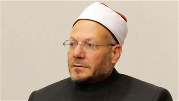 شوقي علام