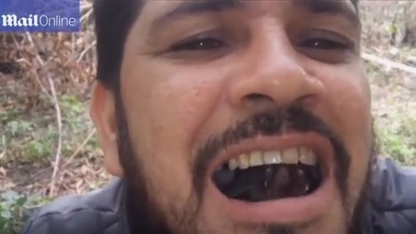 المواطن