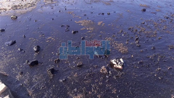التلوث البترولي بالبحر