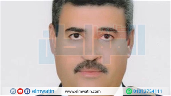 المواطن