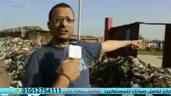 المواطن