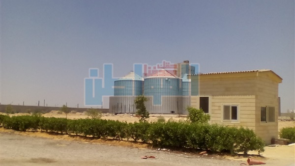 جانب من الحدث