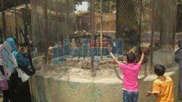حديقة حيوان بني سويف