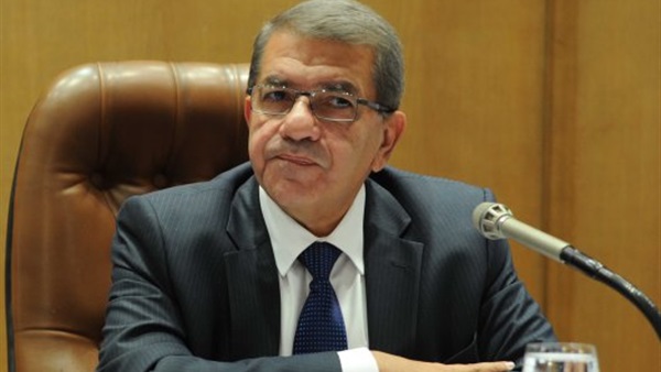 عمرو الجارحى، وزير