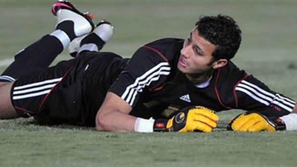 محمد الشناوي
