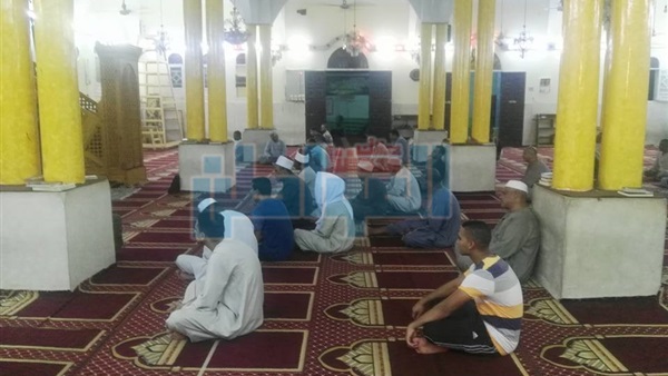 المواطن