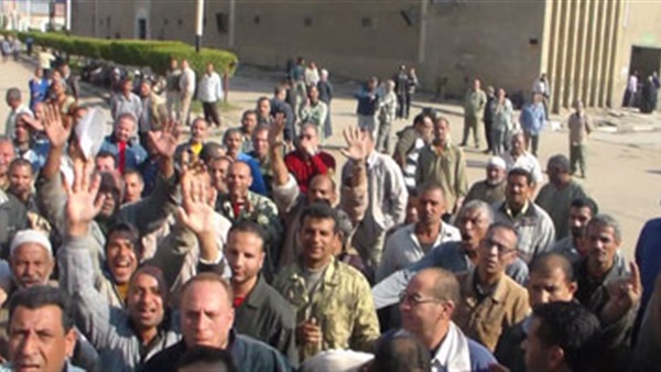 المواطن