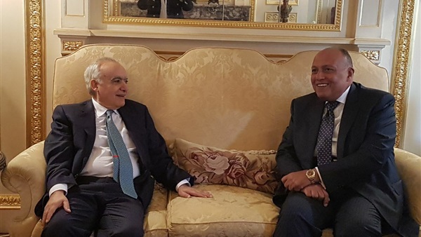 سامح شكري ومبعوث
