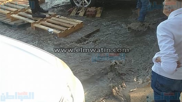 المواطن