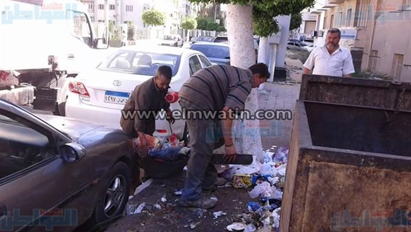 المواطن
