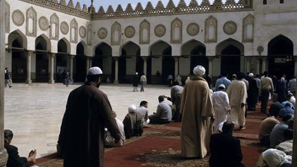 المواطن