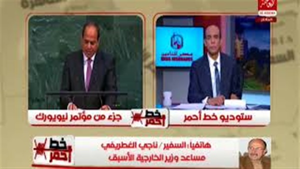 المواطن