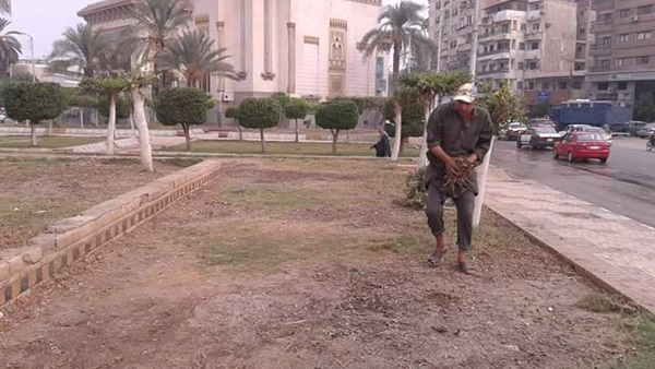 المواطن