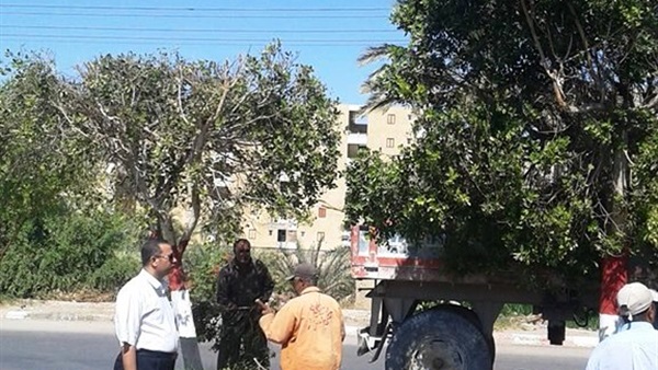 جانب من الحملات
