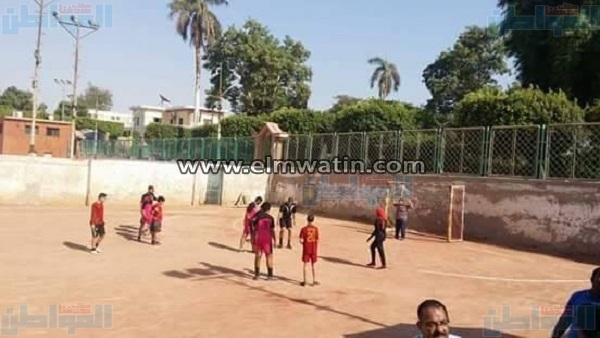 دورى لكرة اليد