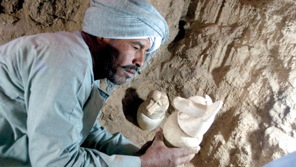 المواطن