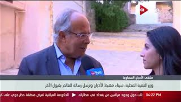 وزير التنمية المحلية