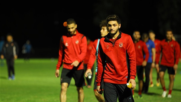 كريم نيدفيد