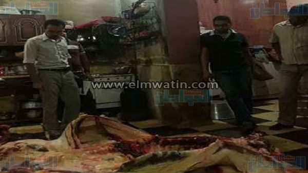 ذبح الحيوانات النافقة
