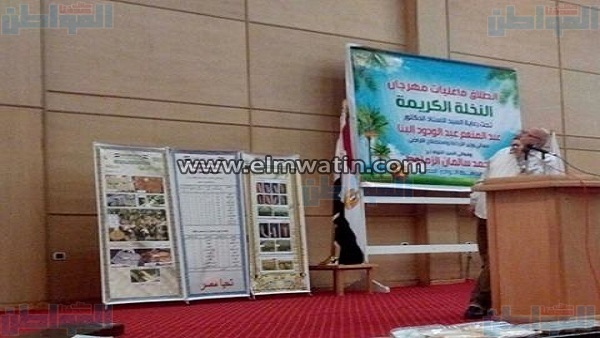 فعاليات مهرجان النخلة