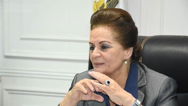 محافظ البحيرة المهندسة