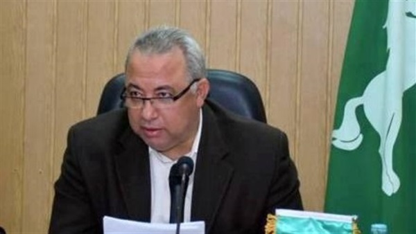 محافظ الشرقية